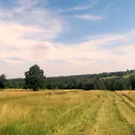 Naturpark