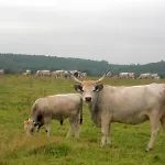 Naturpark