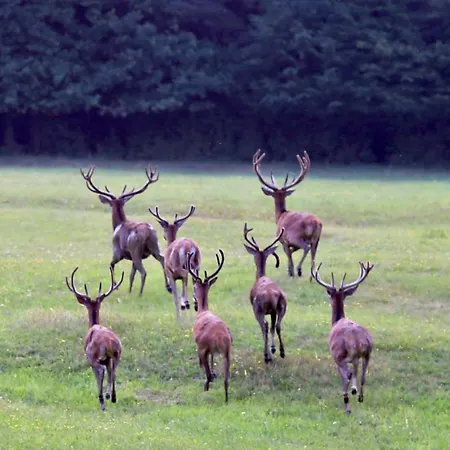 Nyaraló Naturpark