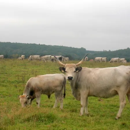 Naturpark
