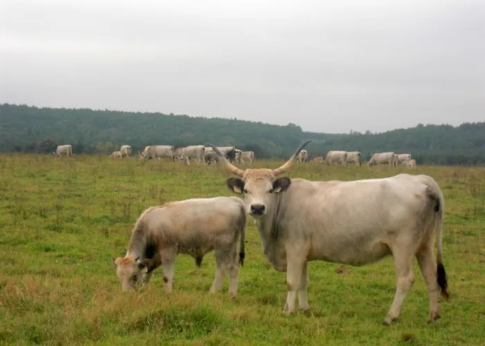 Naturpark